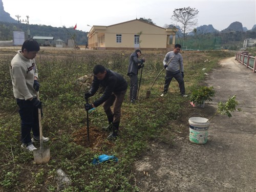 Các cán bộ ban tham gia trồng cây tại khu vực nhà trạm kiểm soát liên hợp